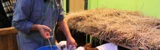 La Ferme Côte-d'Or à la Foire gastronomique de Dijon