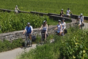 Le label « Vélo & Fromages » est attribué à la Voie des vignes