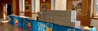 Covid-19 : le Département de la Côte-d'Or a livré plusieurs milliers de masques aux professionnels de l'aide à domicile
