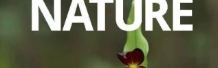 Le dernier numéro de la revue scientifique BFC Nature vient de paraître !
