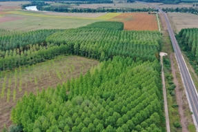 LGV Rhin-Rhône : restauration d'une zone humide pour favoriser la biodiversité
