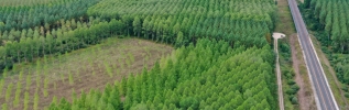 LGV Rhin-Rhône : restauration d'une zone humide pour favoriser la biodiversité