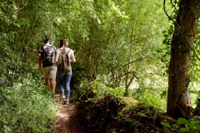 Côte-d'Or Tourisme, au service des collectivités et des acteurs des territoires