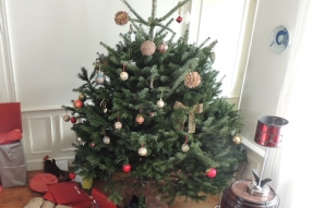 Le Département apporte son soutien à l'Association Française du Sapin de Noël Naturel et aux producteurs de sapins de Noël