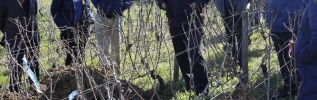 Vignes départementales à Pommard : mieux comprendre le sol pour mieux le préserver