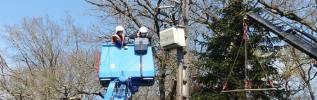 Enedis et la Ligue pour la Protection des Oiseaux (LPO) renouvellent leur partenariat pour 3 ans