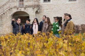 La School of Wine lance le 1er programme au monde dédié à l'oenotourisme et à la gastronomie durables