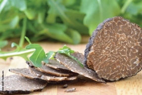 La Route de la truffe de Bourgogne, une nouvelle route épicurienne en Côte-d'Or !