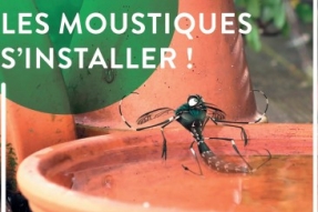 Prolifération des moustiques tigres : la ville de Dijon organise deux réunions publiques pour sensibiliser les dijonnaises et dijonnais sur les bons gestes à adopter	