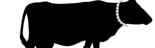 Défilé de Mode Agricole par la Fabrique à Berlue !