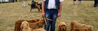 Une belle réussite pour la Fête de la Nature et du Chien