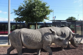 La biodiversité s'installe à Dijon au mois de juin