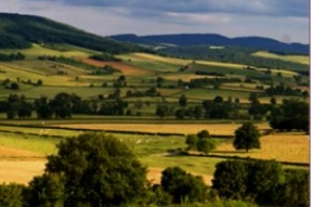 La Région Bourgogne soutient la replantation du bocage 