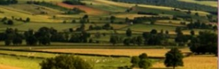 La Région Bourgogne soutient la replantation du bocage 