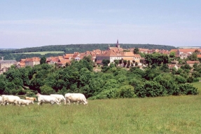 Flavigny... anis au pays des merveilles ou un village raconté par ses habitants. 
