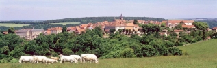 Flavigny... anis au pays des merveilles ou un village raconté par ses habitants. 