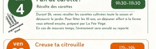 Creuse ta citrouille