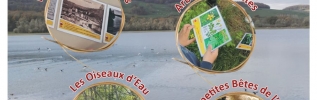 A la d�couverte du R�servoir de Cercey