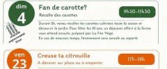 Creuse ta citrouille