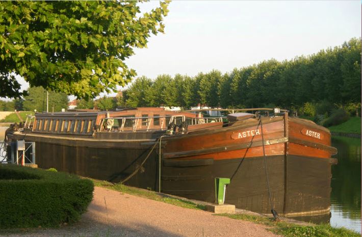P&eacute;niche Aster