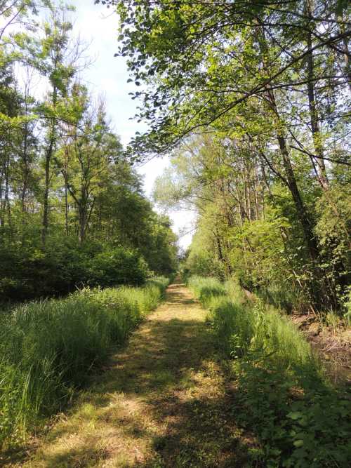 Mirebeau-sur-B&egrave;ze inaugure le Marais de la Rosi&egrave;re, Espace Naturel Sensible de C&ocirc;te-d'Or,