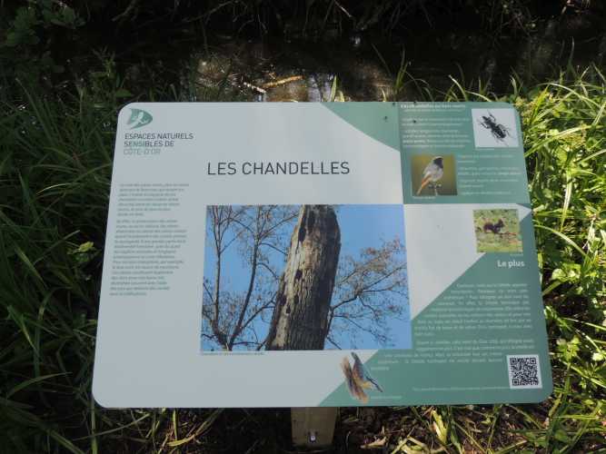 Mirebeau-sur-B&egrave;ze inaugure le Marais de la Rosi&egrave;re, Espace Naturel Sensible de C&ocirc;te-d'Or,