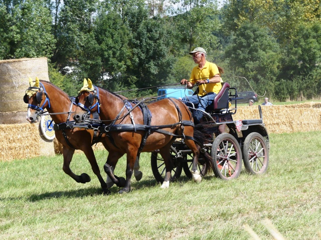 TRACTOFOLIES 2016 MARIE QUIQUEMELLE POUR ECHO DES COMMUNES