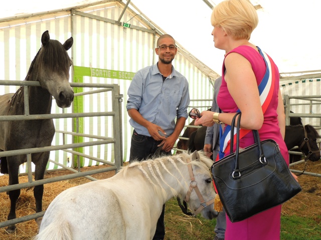 FOIRE DE MONTBARD 2016 MARIE QUIQUEMELLE POUR ECHO DES COMMUNES
