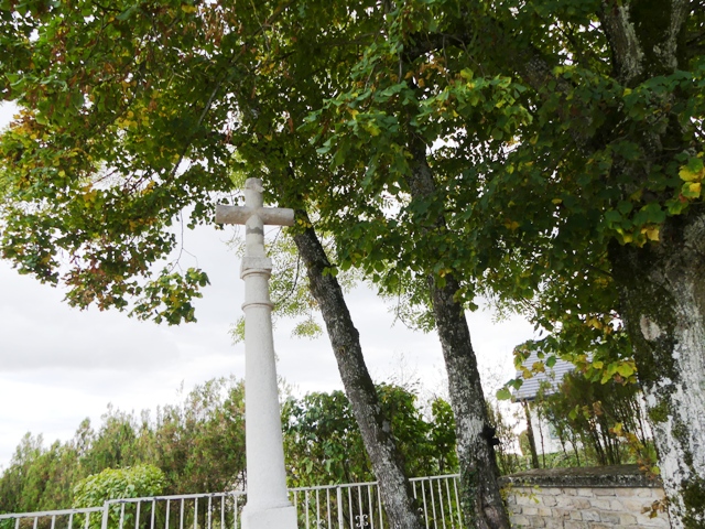 SAVIGNY LE SEC 2016 MARIE QUIQUEMELLE ECHO DES COMMUNES