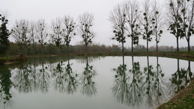 velibourgogne-2016-echodescommunes