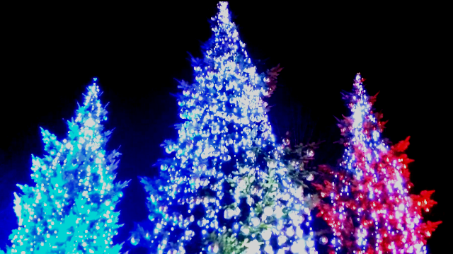 f&ecirc;te du sapin 2016 saulieu marie quiquemelle echo des communes