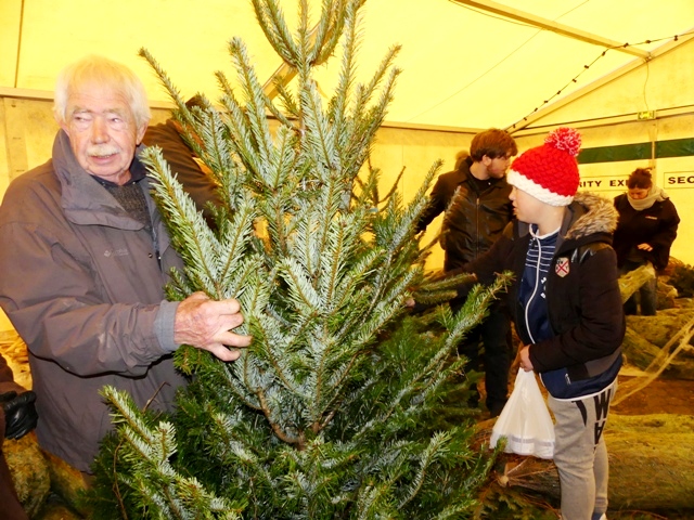 f&ecirc;te du sapin 2016 saulieu marie quiquemelle echo des communes