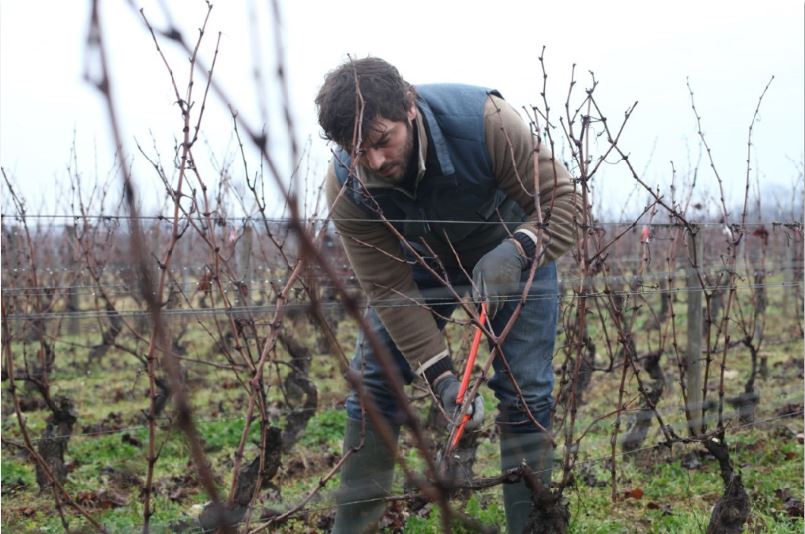 Klapisch, le Bourgogne dans le sang