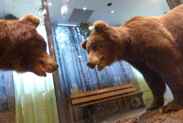 Sauvages, la nouvelle exposition du Jardin des Sciences