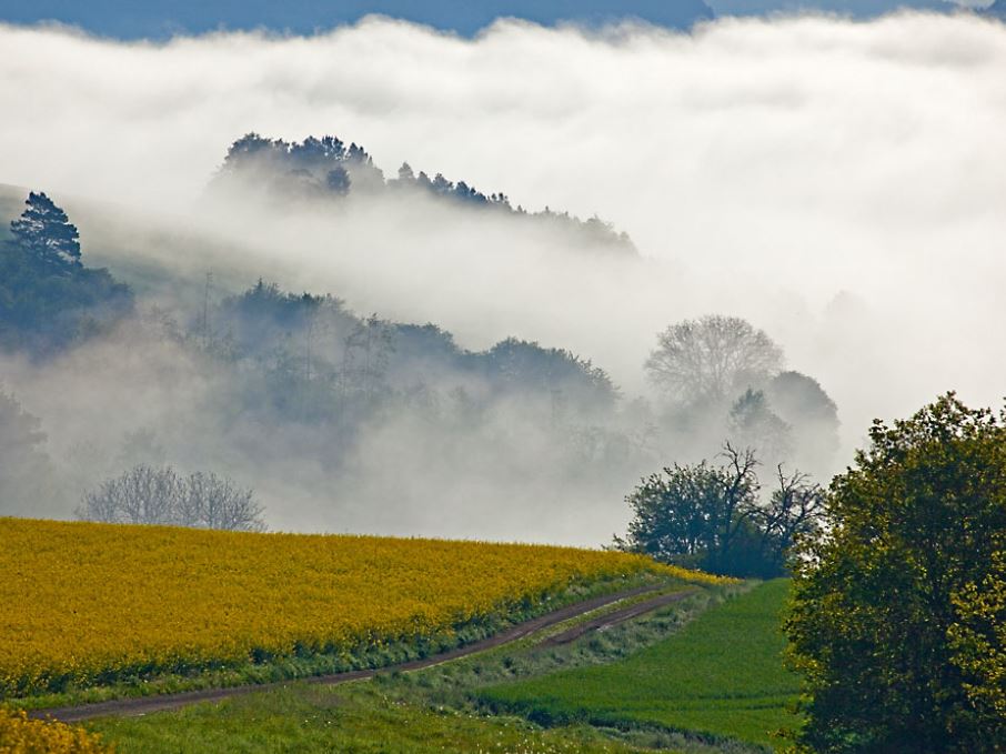 Parc National entre Champagne et Bourgogne
