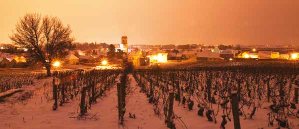 La Route des grands crus de Bourgogne 