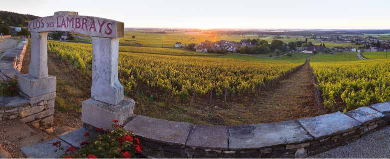 La Route des grands crus de Bourgogne 