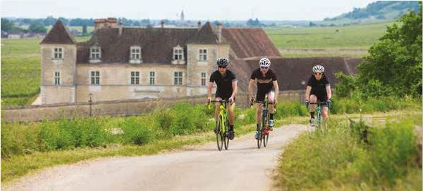 La Route des grands crus de Bourgogne