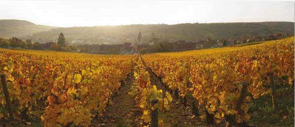 La Route des grands crus de Bourgogne