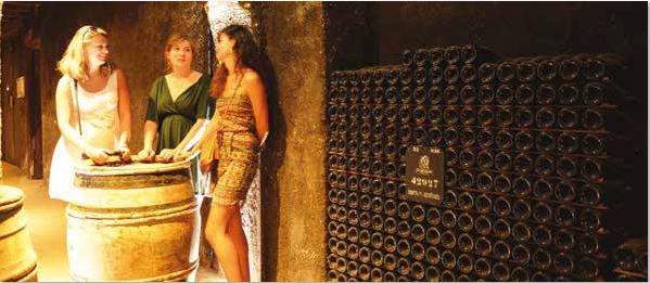 La Route des grands crus de Bourgogne 