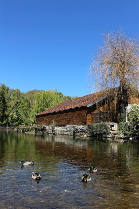 Votez pour B&egrave;ze &laquo; Village pr&eacute;f&eacute;r&eacute; des Fran&ccedil;ais &raquo; !