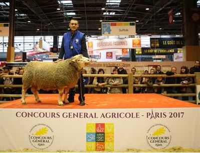95 producteurs C&ocirc;te-d'Oriens r&eacute;compens&eacute;s par le Conseil D&eacute;partemental.