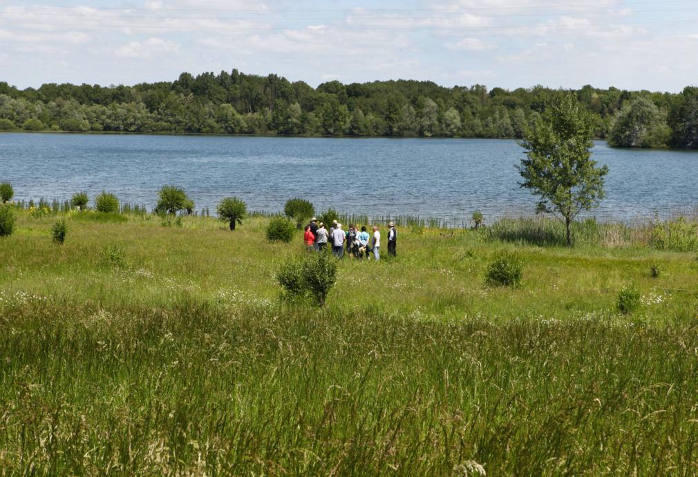 la R&eacute;serve &eacute;cologique des Maillys   