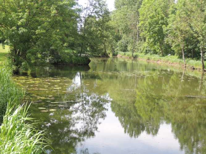 Le Marais de la Rosi&egrave;re de Mirebeau