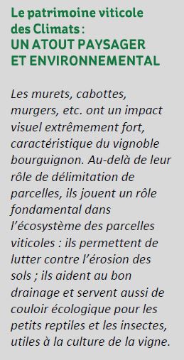 Patrimoine viticole des Climats
