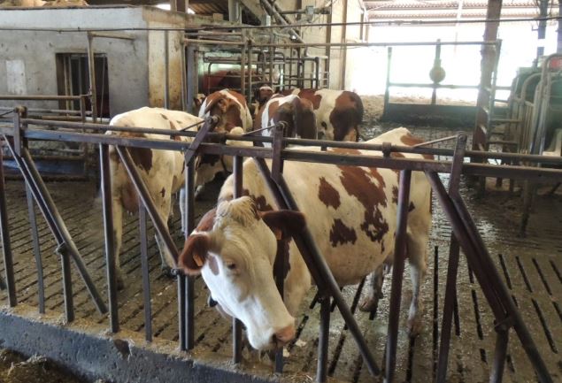 Le bio ? L'avenir de l'agriculture ?