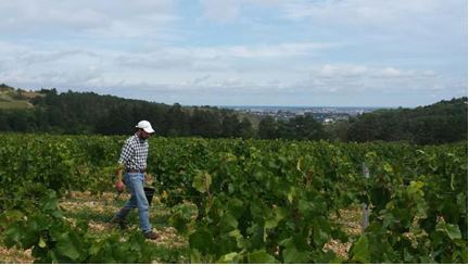 Le plateau de La Cras