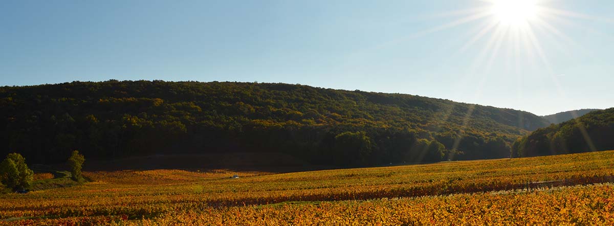 Communaut&eacute; de Communes de Gevrey-Chambertin et de Nuits-Saint-Georges 