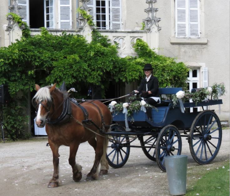 Ludivine bachotet : passionn&eacute;e de chevaux comtois