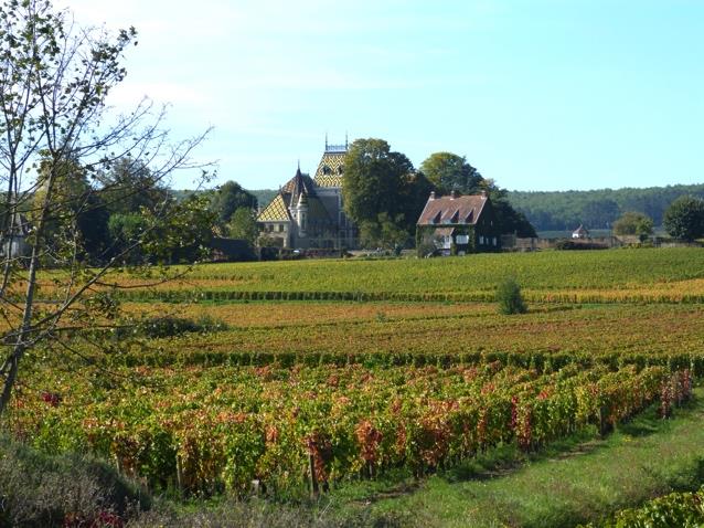 Ch&acirc;teau d&rsquo;Aloxe-Corton (21)